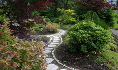 Stone Walking Path