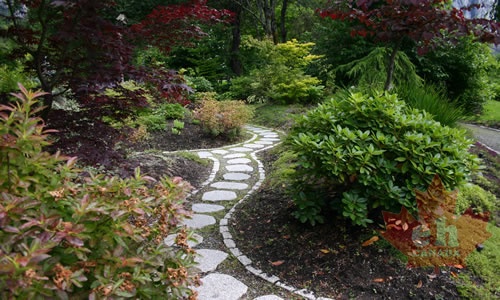 Stone Walking Path