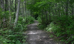 Hiking Trail
