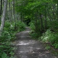 Hiking Trail