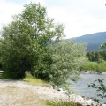 Hiking the shoreline of the river