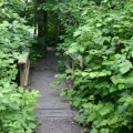 Hiking Trail