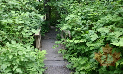 Hiking Trail