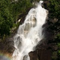 Roaring Shannon Falls