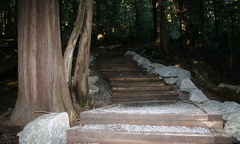 Steps to Upper Lookout