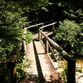Wooden Bridge Walking Trail