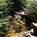 Hiking Trail