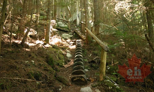 Hiking Trail to top of Shannon Falls