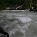 Crashing Rapids