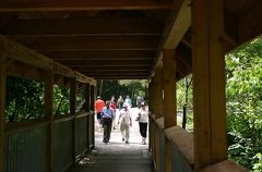 Walking Trail