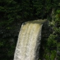 Top of the Falls