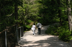 Lovers Lane