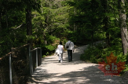 Lovers Lane