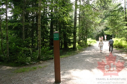 Trail Marker