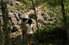 Brandywine Trailhead