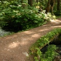 Earth Bridge