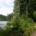 Lake Trail