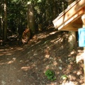 Trailhead