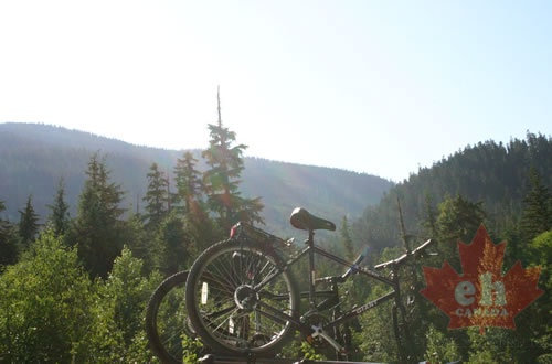 Mountain Bikes