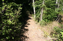 Hiking Trail