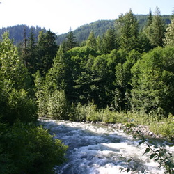Rainbow Lake Trail