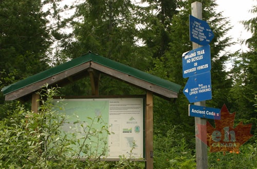 Trailhead Billboarrd