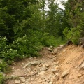 Cougar Lake Trail