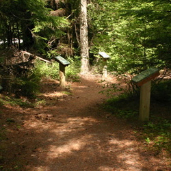 Discovery Loop Trail