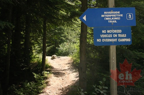 Trail