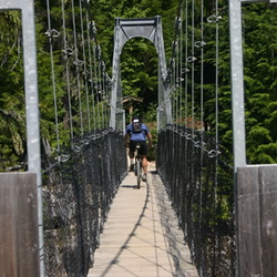 Whistler Interpretive Forest