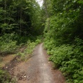 Biking Trail