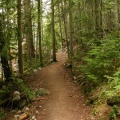Mountain Biking Trail