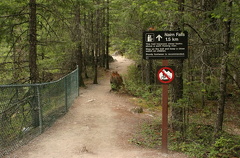 Hiking Trail