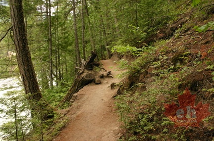 Cliffside Trail