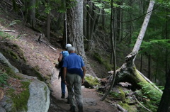 trail 004.jpg