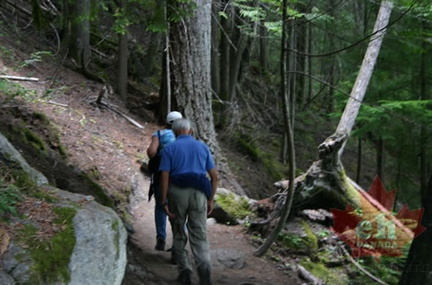 Hikers