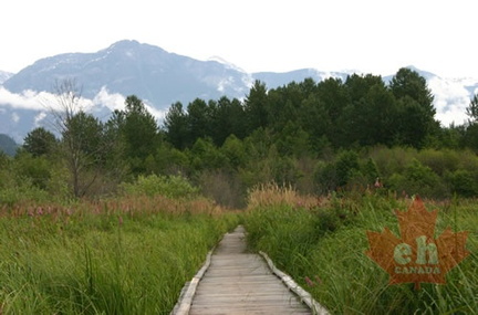 Boardwalk Trail