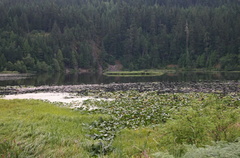 lake 002.jpg