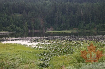 Wetlands
