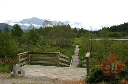 Birdwatching Platform