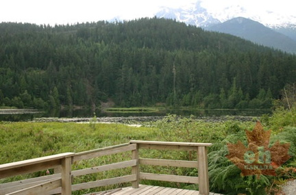 Lake Views
