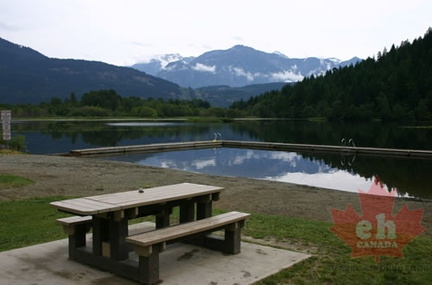 Picnic Tables