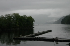 seal_cove_bay 002.jpg