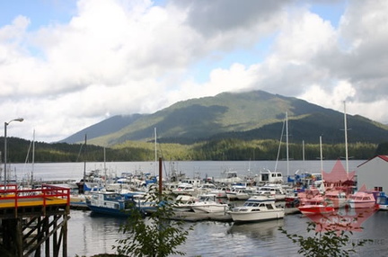 Cow bay Marina