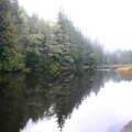 Morse Creek