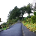 Paved Walkway