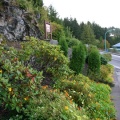 Walkway