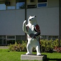 Spirit Bear