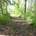 Nature Trail