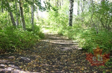 Nature Trail